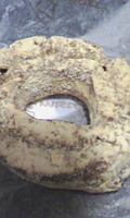http://testtest.torebo-kichijoji.jp/image/100217_20347E01-thumbnail4.jpg